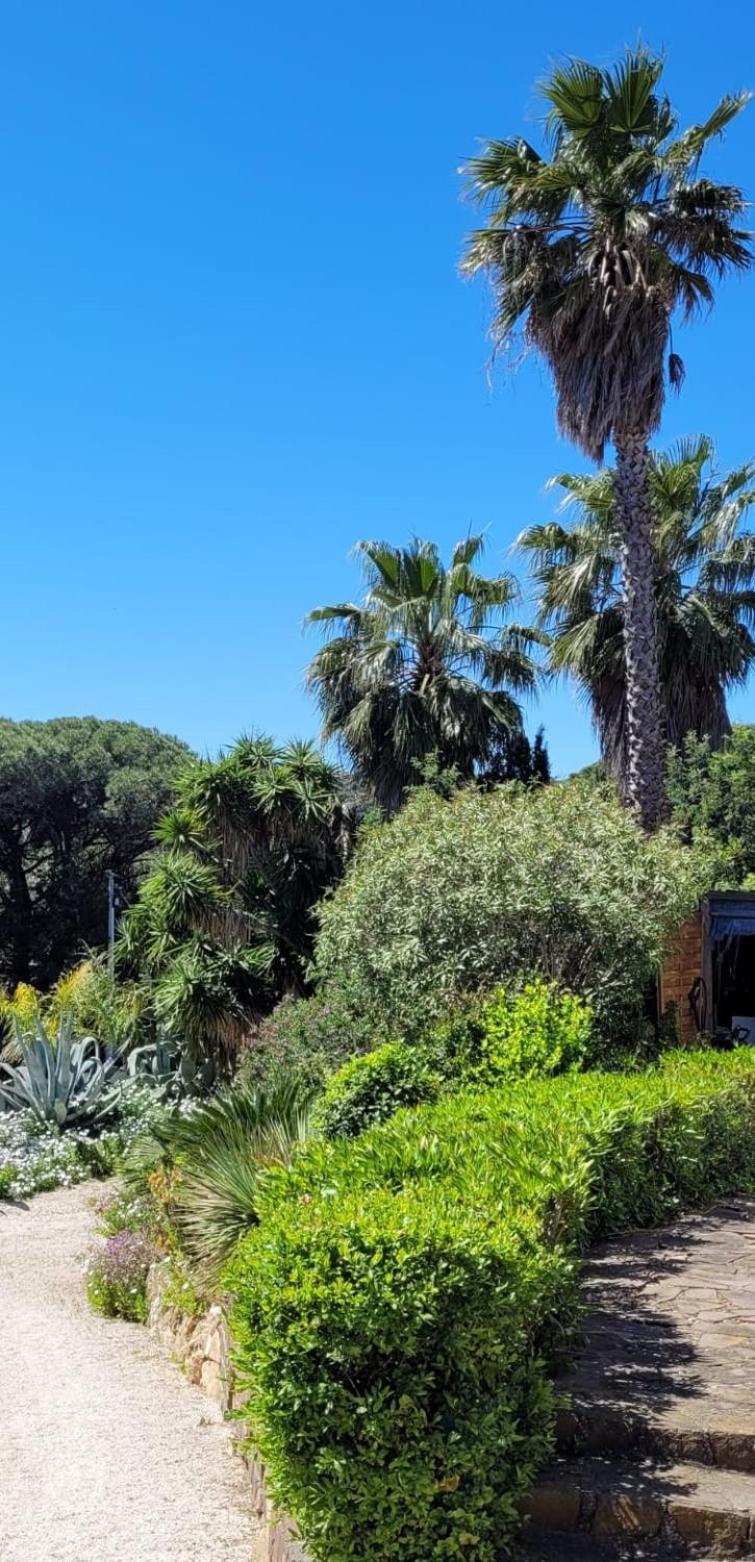 Palm' Issambres 6-8 Personnes Avec Piscine Et Jardin Privés *