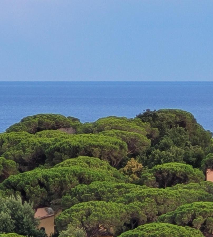 Villa Palm' Issambres 6-7 Personnes, Clim, Avec Piscine, Jardin Et Parking Prives Villa