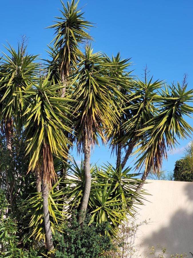 Palm' Issambres 6-8 Personnes Avec Piscine Et Jardin Privés Villa *