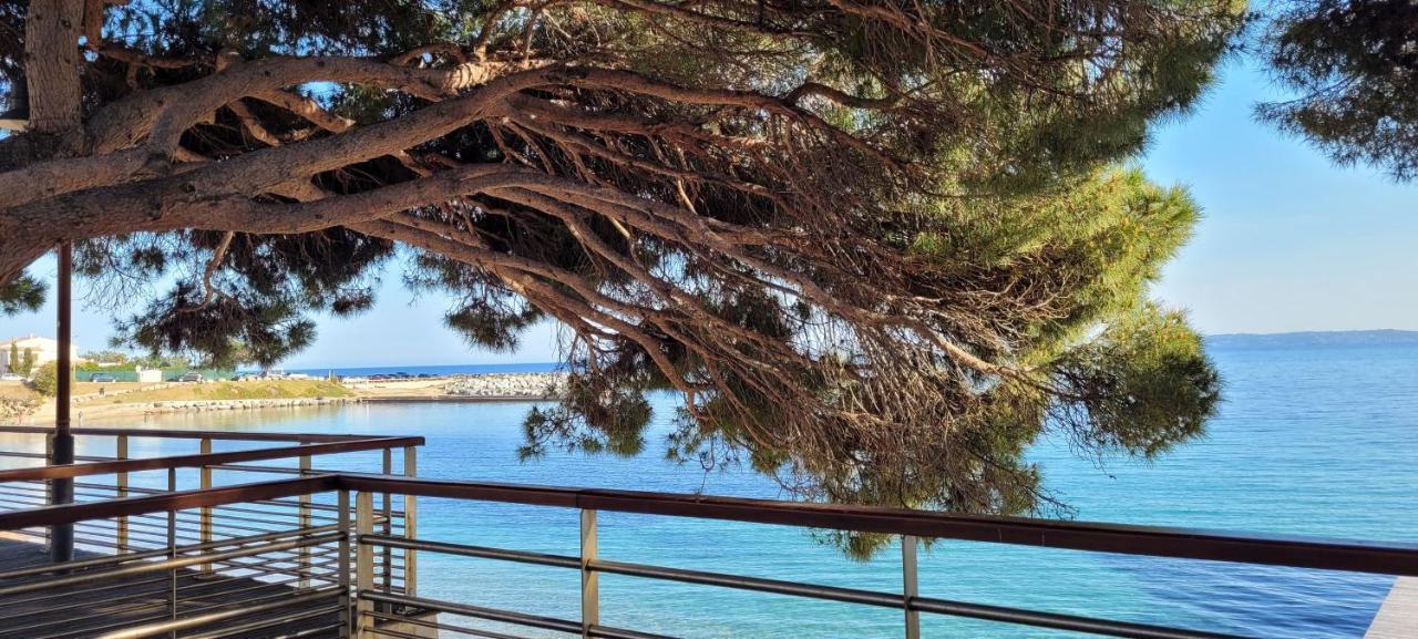 Palm' Issambres 6-8 Personnes Avec Piscine Et Jardin Privés *