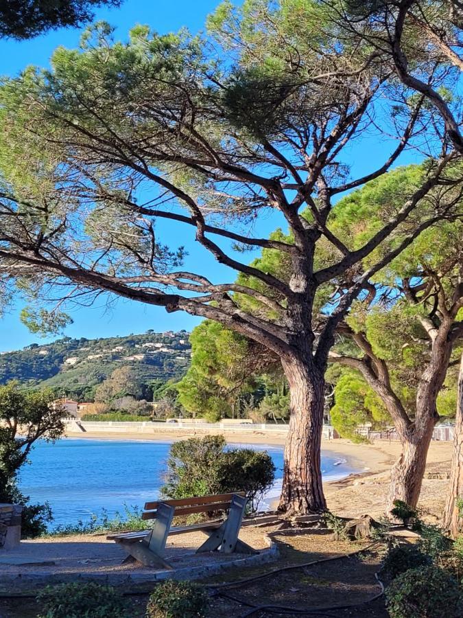 Palm' Issambres 6-8 Personnes Avec Piscine Et Jardin Privés