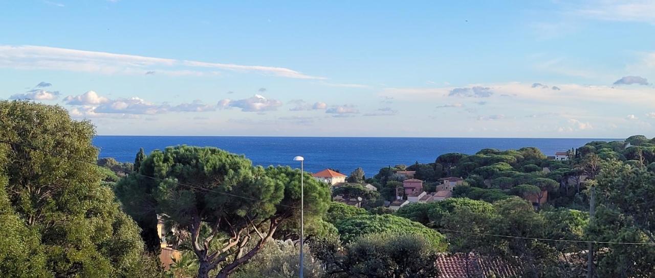 Villa Palm' Issambres 6-7 Personnes, Clim, Avec Piscine, Jardin Et Parking Prives La Garonnette-Plage