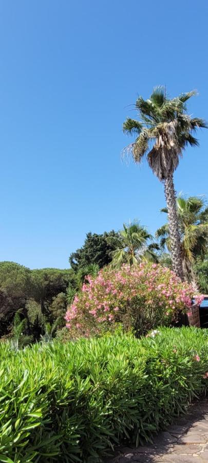 Palm' Issambres 6-8 Personnes Avec Piscine Et Jardin Privés La Garonnette-Plage