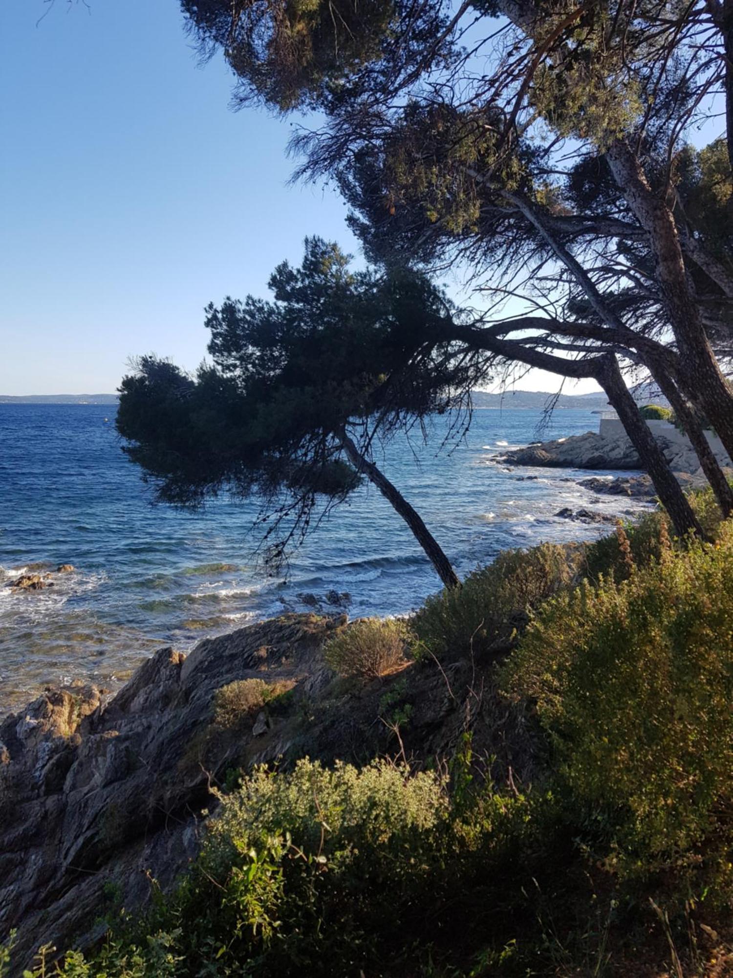 Villa Villa Palm' Issambres 6-7 Personnes, Clim, Avec Piscine, Jardin Et Parking Prives La Garonnette-Plage